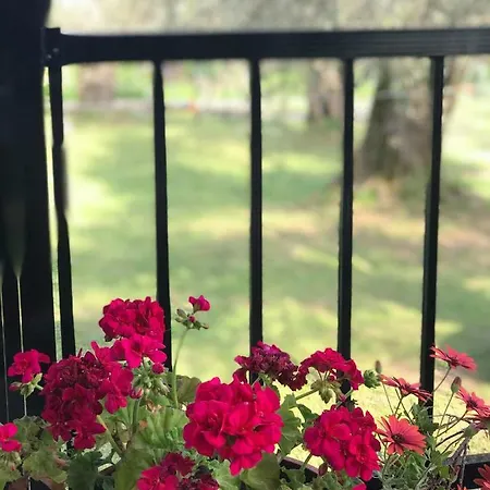 Σπίτι διακοπών Lucky Ποταμιά